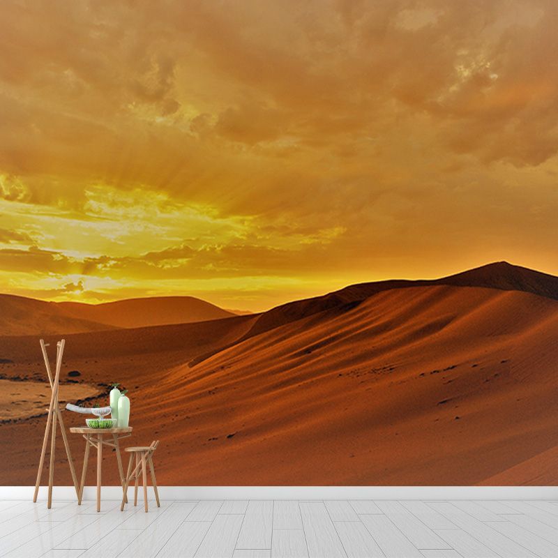 Photography Desert Environmental Wallpaper Drawing Room Mural Wallpaper