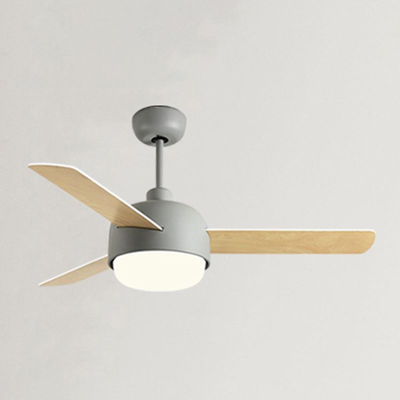 Modern Simple Colorful Ceiling Fan Lamp Metal LED Ceiling Fan Light for Bedroom