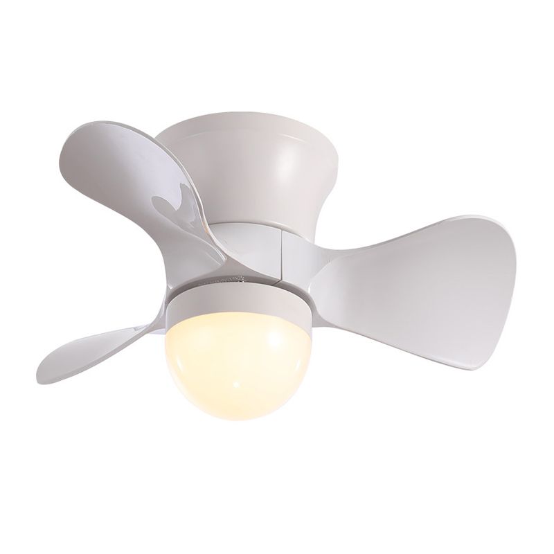 Iluminación nórdica de ventilador acrílico de medio globos 23.5 "de ancho LED de techo LED de 3 cuchillas en café/blanco