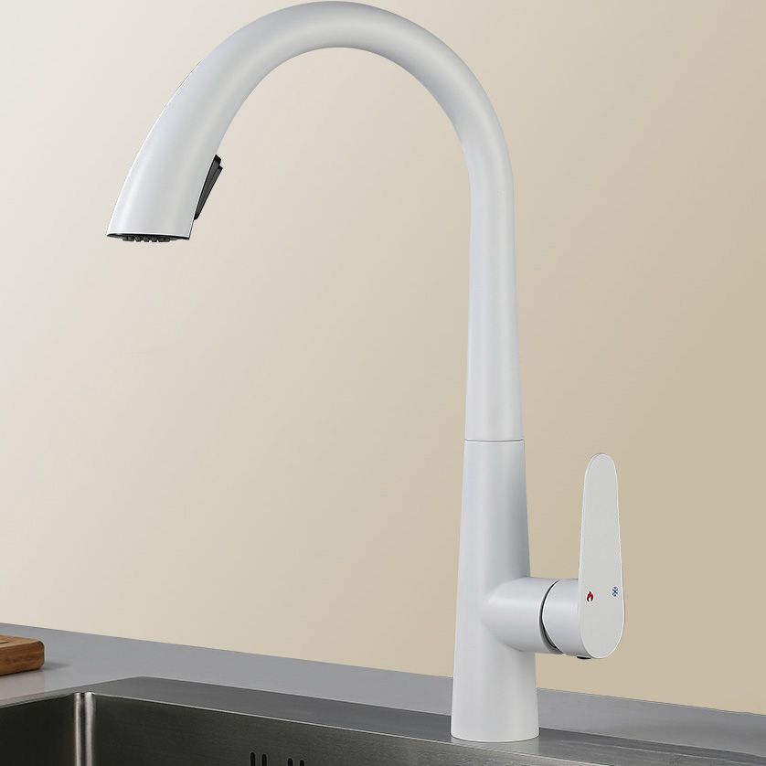 Contemporary High-Arc Kitchen Faucet Swivel Spout with Pull Down Sprayer