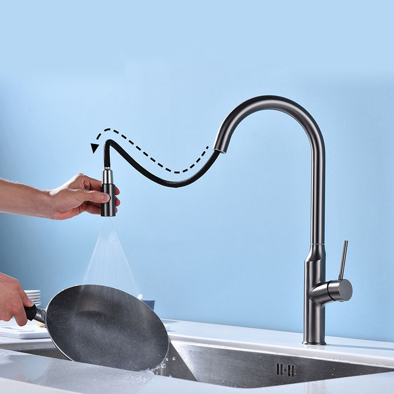 Modern 1-Handle Faucets Stainless Steel with Water Dispenser Pull down Faucets