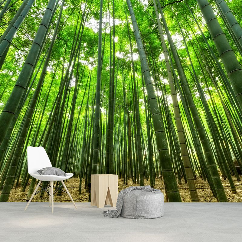 Light Color Bamboo Landscape Mural Moisture Resistant Modern Style Bedroom Wall Art