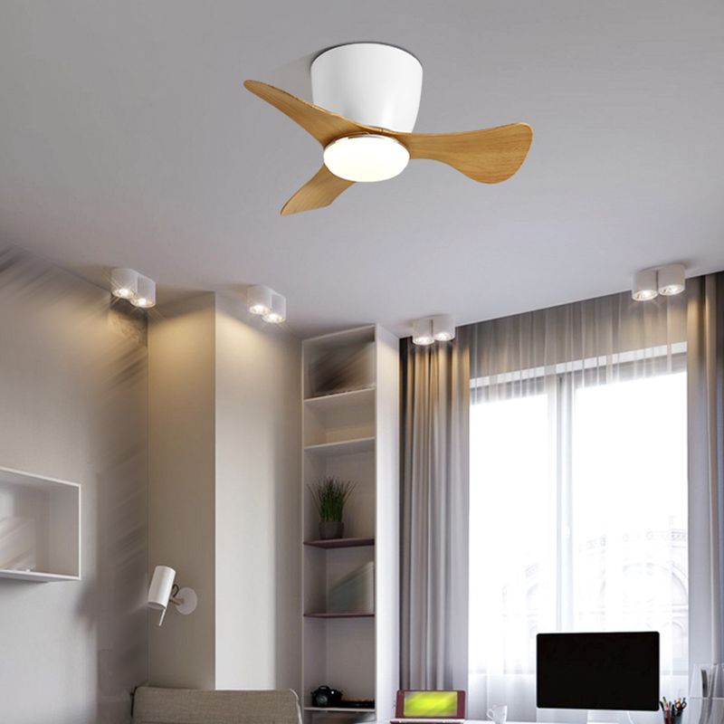 Fan Shape Metal Ceiling Fans Modern 1-Light Ceiling Fan Lamp Fixture