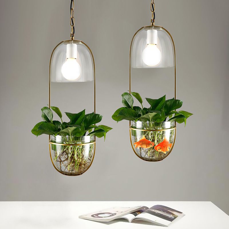 1 lamp hanglamp licht antiek halfrond plantenbak helder glas hangende lamp armatuur met langwerpig frame in goud