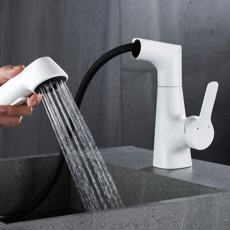 Brass Bathroom Sink Faucet with 1-Handle Swivel Spout Sink Faucet