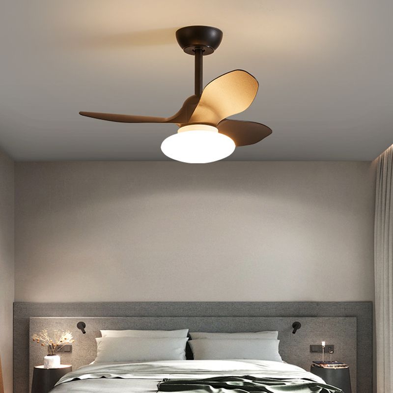 Metal Fan Shape Ceiling Fan Modern Style 1 Light Ceiling Fans Fixtures