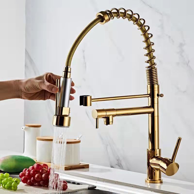 Modern Spring Spout Faucets Handle with Water Dispenser Standard Kitchen Faucets