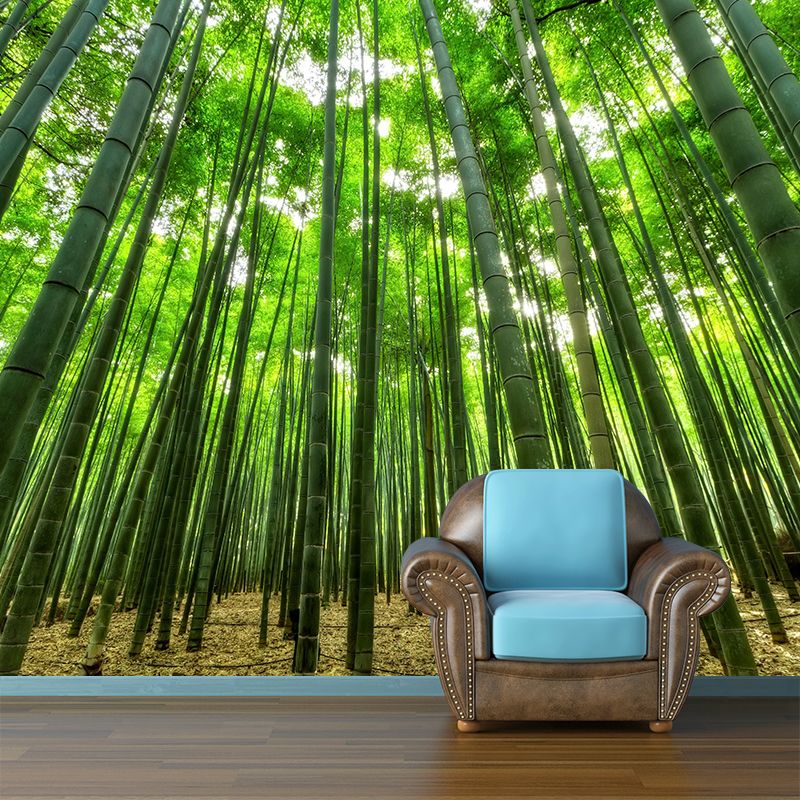 Light Color Bamboo Landscape Mural Moisture Resistant Modern Style Bedroom Wall Art