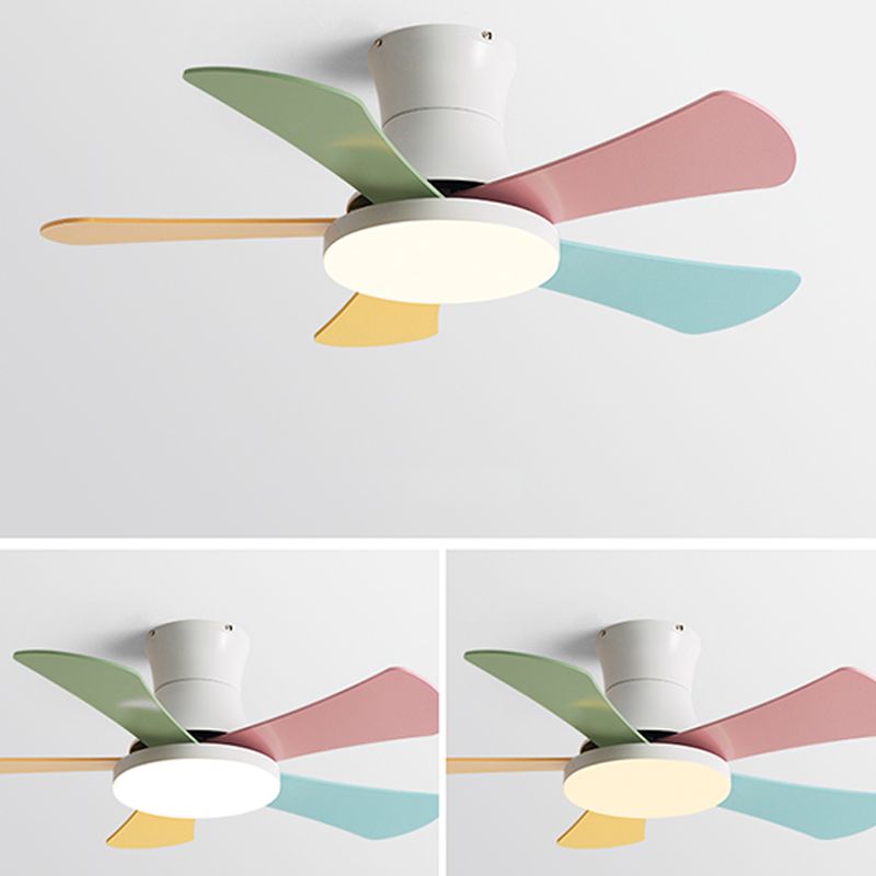 Modern Macaron Ceiling Fan Light Metal 1 Light LED Ceiling Fan for Children's Room