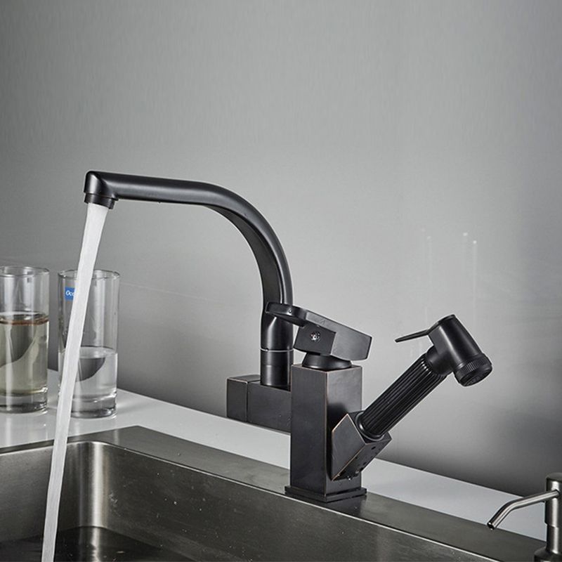 Traditional 1-Handle Faucet with Water Dispenser Standard Kitchen Faucet