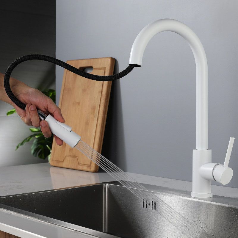 Contemporary Single Handle Kitchen Faucet 1-Hold Faucet with Pull out Sprayer