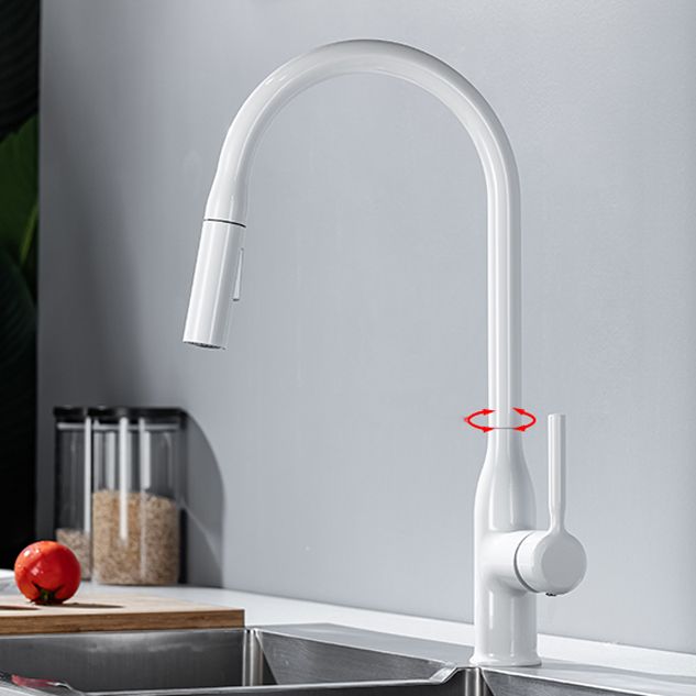 Modern Standard Kitchen Faucet Gooseneck Kitchen Faucet with One Handle