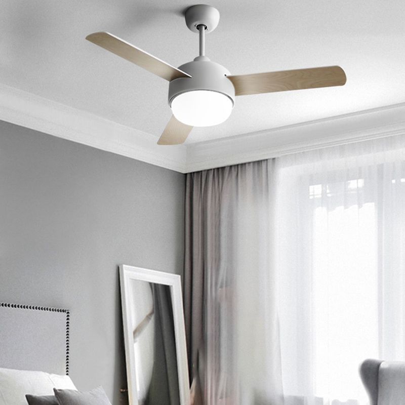 Fan Shape Metal Ceiling Fan Modern Style 1-Light Ceiling Fans Fixtures