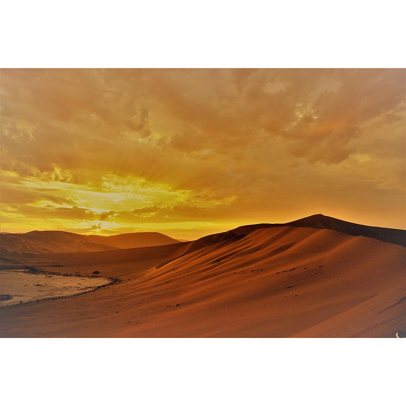 Photography Desert Environmental Wallpaper Drawing Room Mural Wallpaper