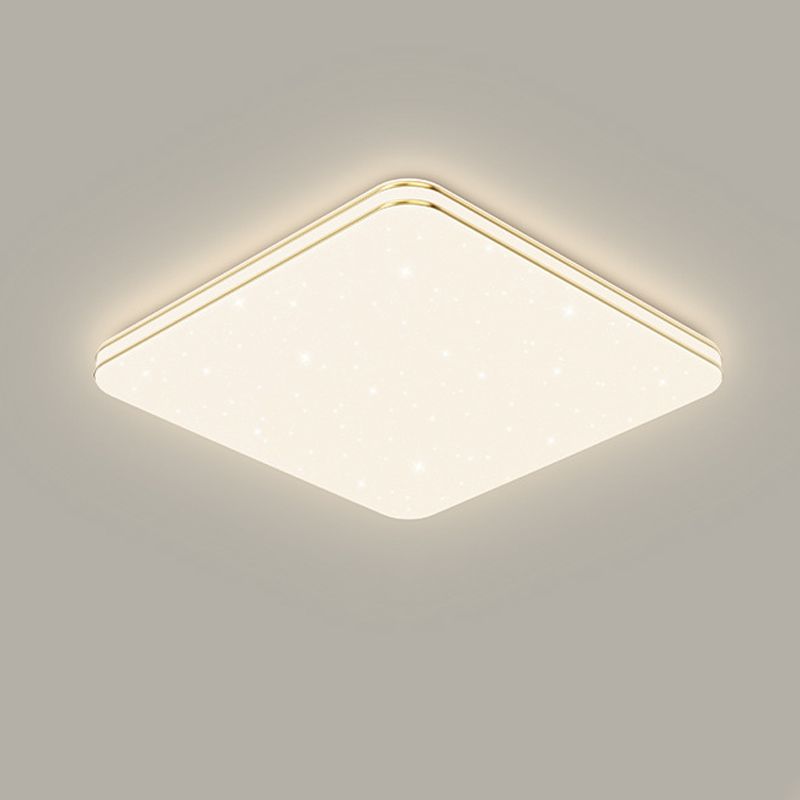 Single Golden Flush Mount Lighting LED Ceiling Light for Living Room