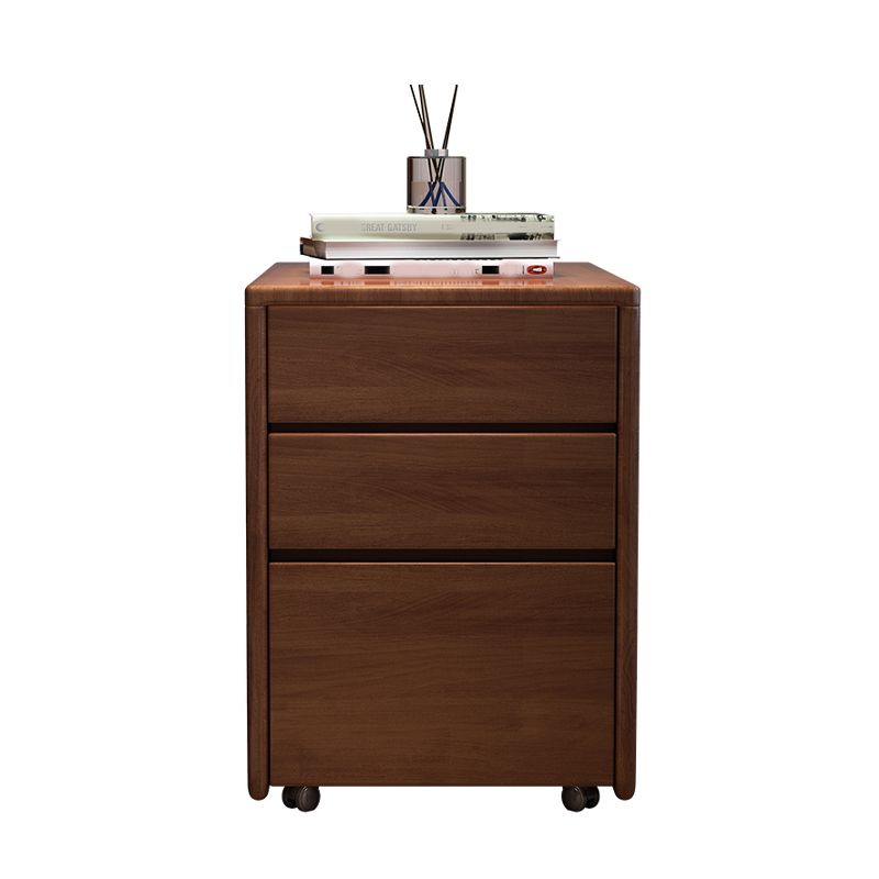 Traditional Style Vertical Filing Cabinet Wood Filing Cabinet with Storage