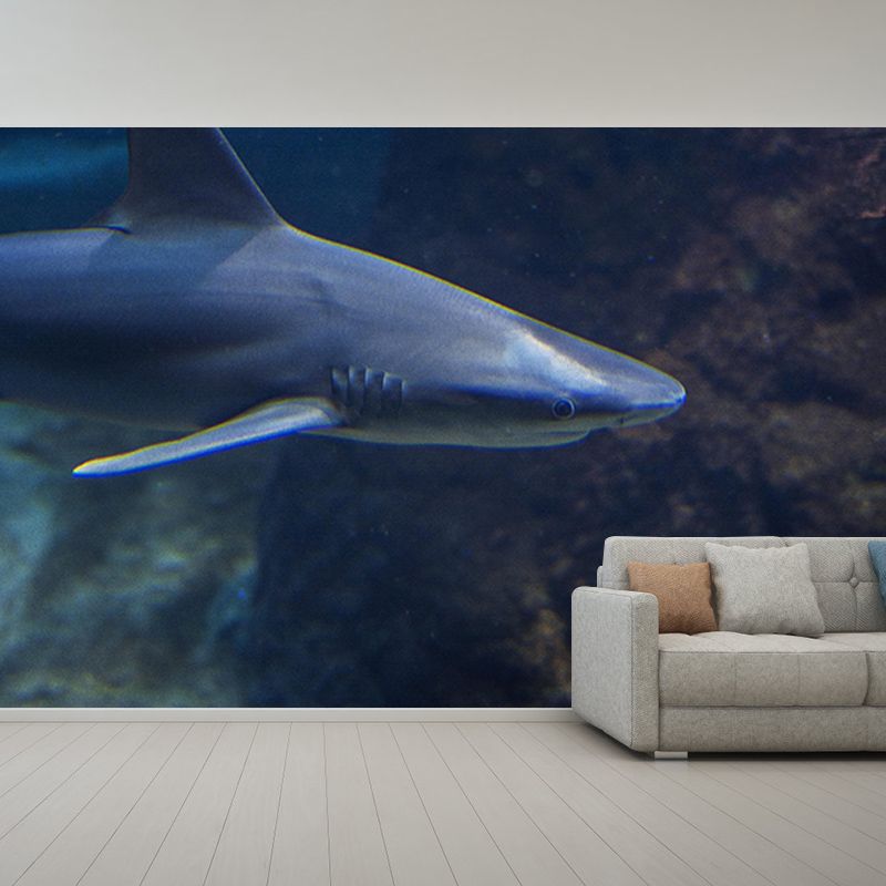 Seabed Photography Wall Murals Wallpaper Mildew Resistant Wall Murals for Bathroom