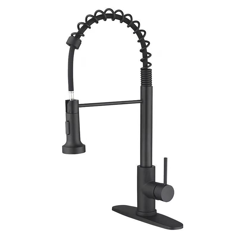 Modern Farmhouse Faucet One Handle High Arch Kitchen Faucet with Pull out Sprayer