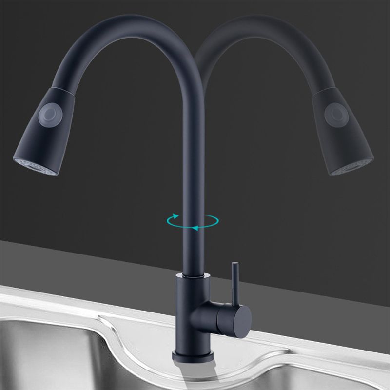 Modern Faucets 1-Handle Pull down with Water Dispenser Standard Kitchen Faucets