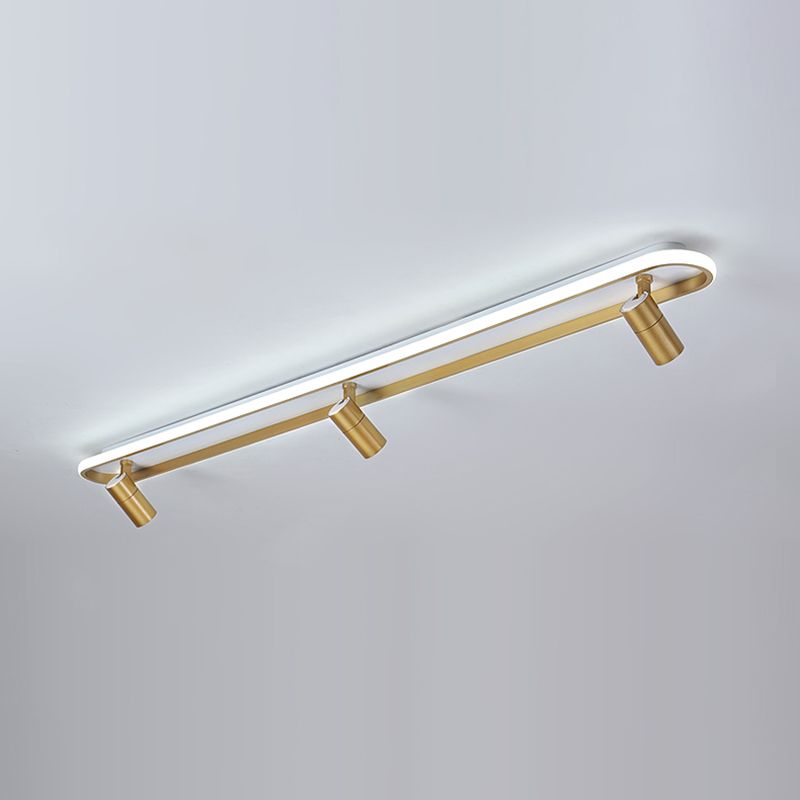 LED Flush Mount Ceiling Lighting Contemporary Ceiling Mounted Light Fixture