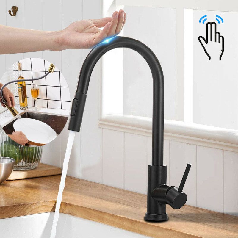 Contemporary Single Handle Kitchen Faucet 1-Hold Faucet with Pull out Sprayer