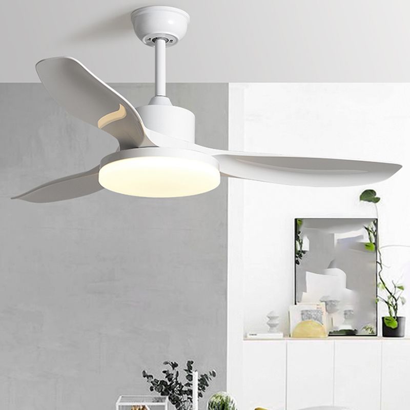 1 - Light Contemporary Ceiling Fan 3 - Blades Fan Light for Room