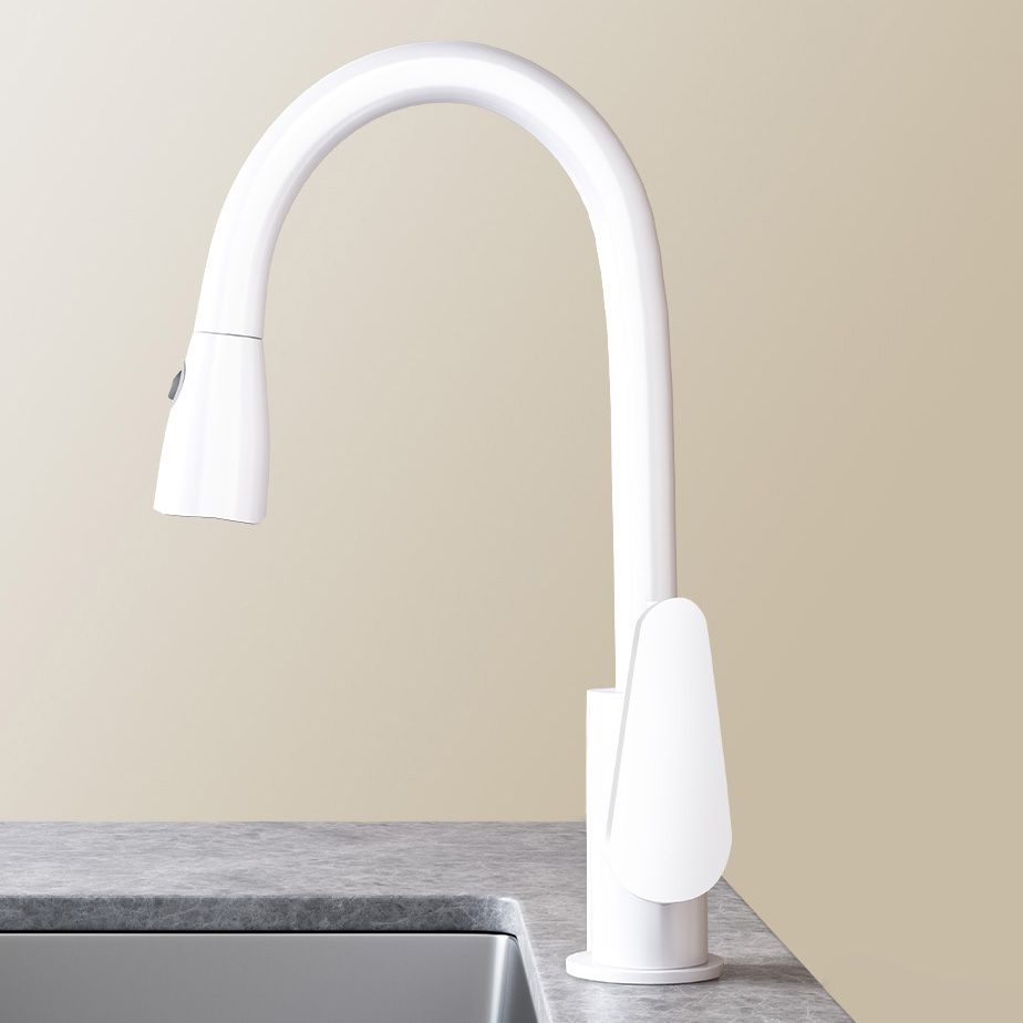 Contemporary Swivel Spout Standard Kitchen Faucet with Pull Down Sprayer