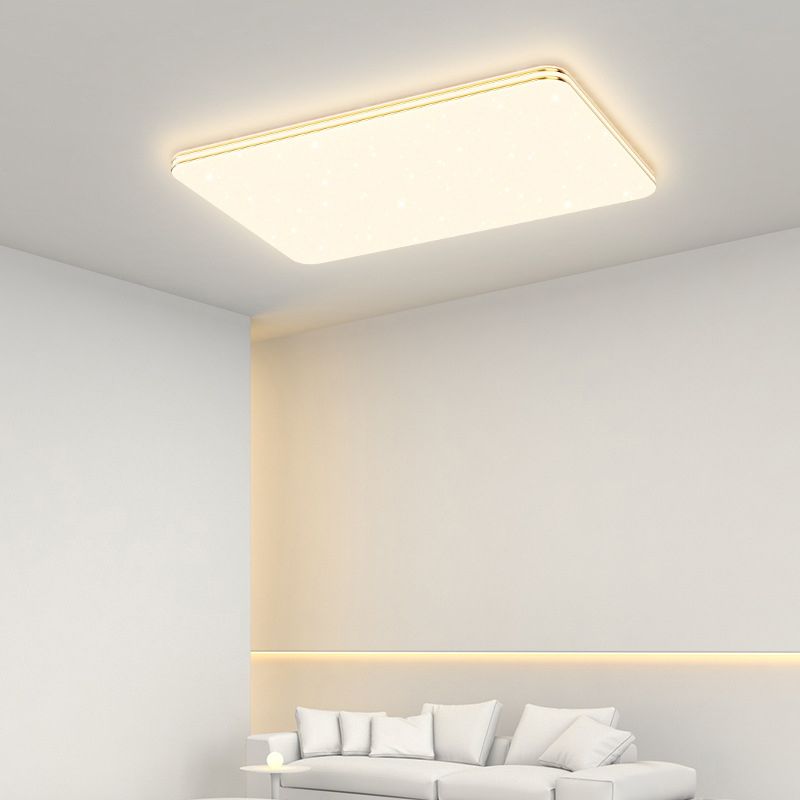 Single Golden Flush Mount Lighting LED Ceiling Light for Living Room