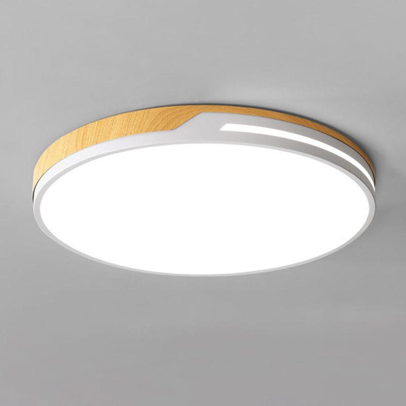 Modern LED Ceiling Light Metal Flush Mount Lighting for Kitchen