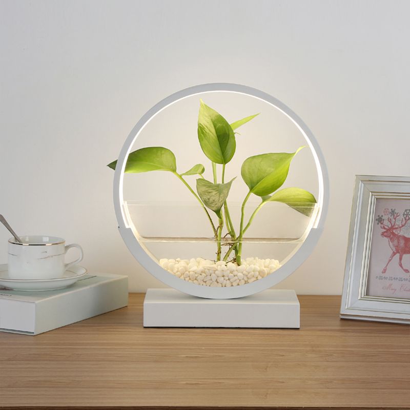 Nordic Circle Table Lamp Acrylic Bedroom LED Night Light with Hydroponics Plant Pot Design