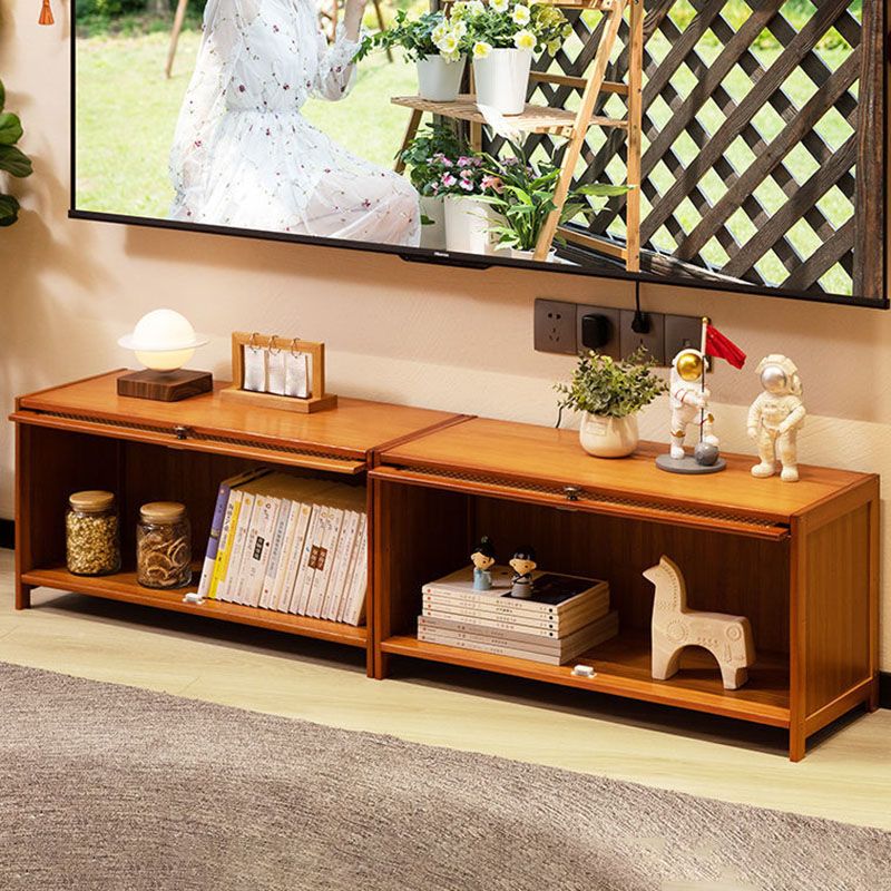 Enclosed Storage TV Console Scandinavian TV Media Console for Living Room