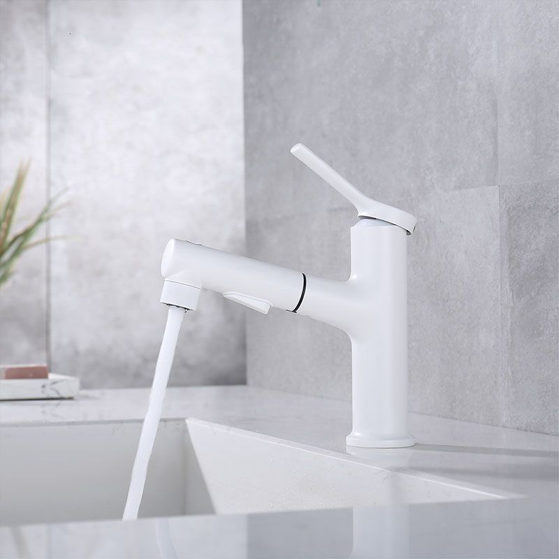 Contemporary Single Handle Faucet Pull-out Sink Faucet with Lever Handle