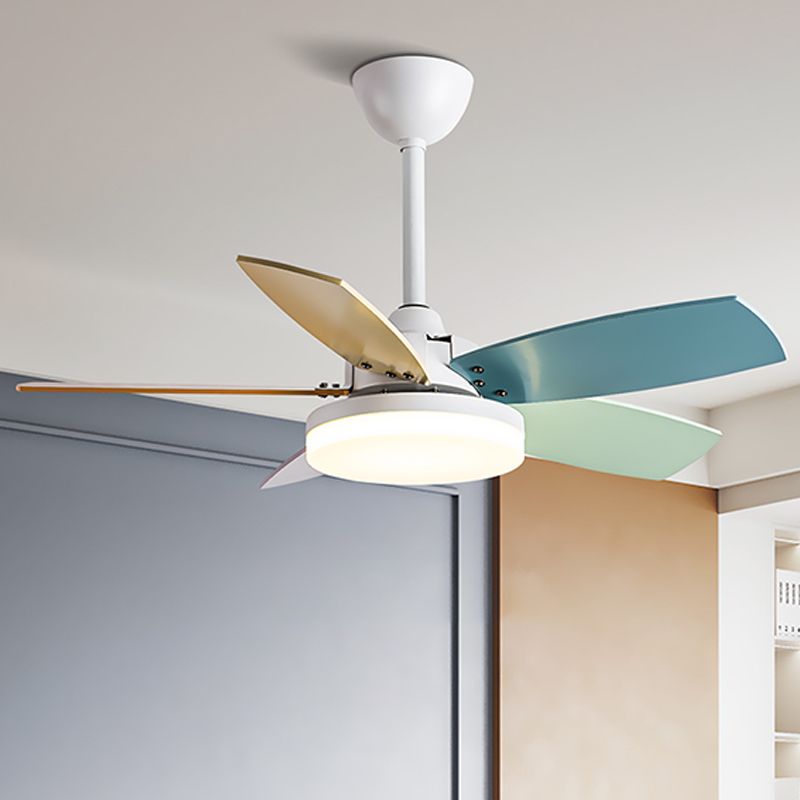 Modern Simple Metal Ceiling Fan Lamp Colorful Blades LED Ceiling Fan Light for Bedroom