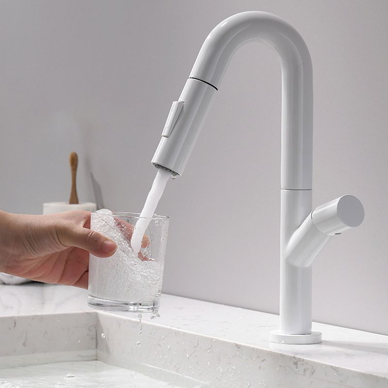 High-Arc Modern Style Bathroom Faucet Single Handle Pull-out Faucet