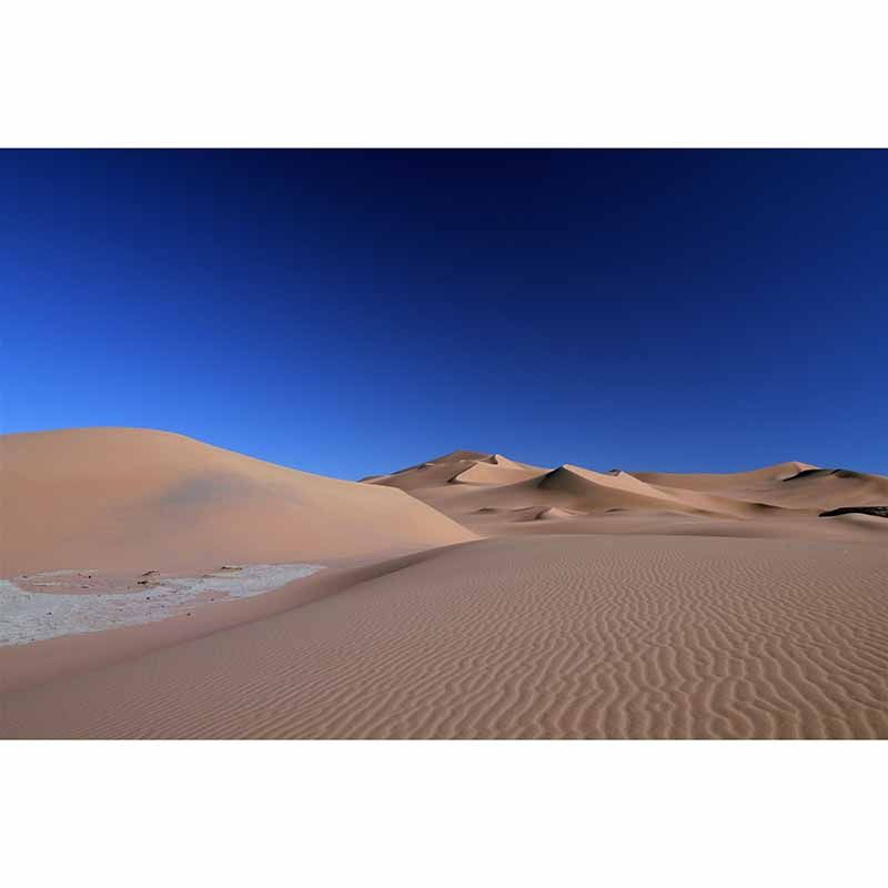 Photography Desert Stain Resistant Wall Mural Home Decor Wallpaper