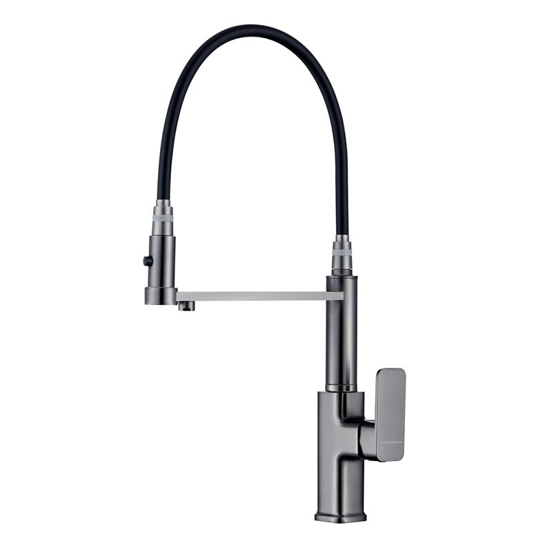 Swivel Spout Kitchen Sink Faucet High Arc with Pull Down Sprayer