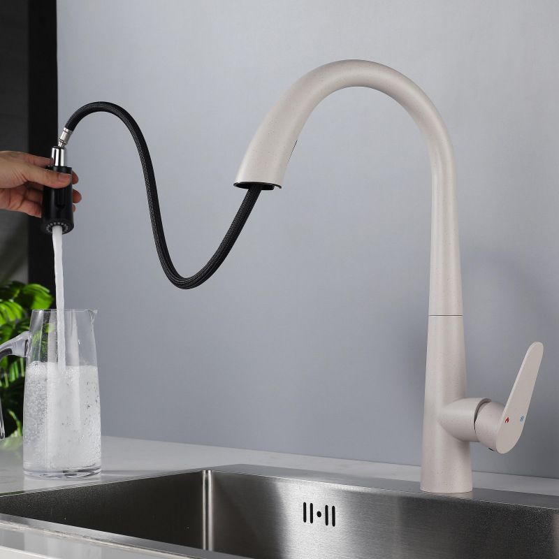 Modern Style Retractable Kitchen Faucet 304 Stainless Steel 1-Handle Kitchen Faucet