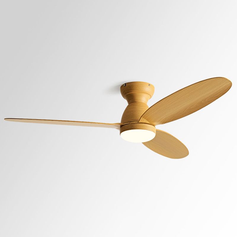 Fan Shape Metal Ceiling Fan Modern Style 1-Light Ceiling Mount Fans Fixture