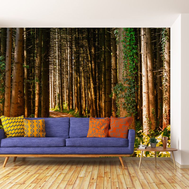 Photography Stain Resistant Wall Mural Forest Sitting Room Wallpaper