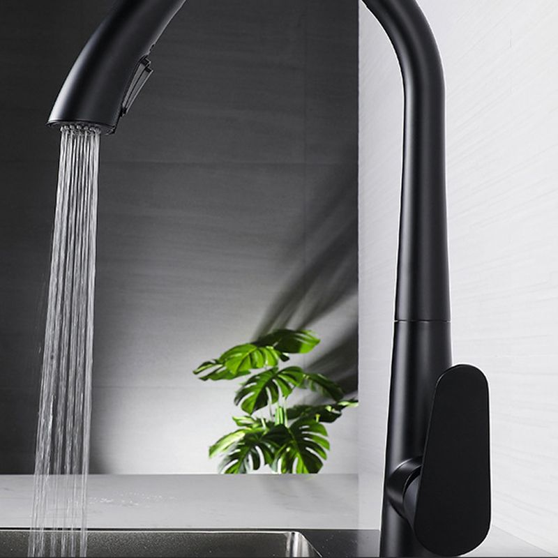 Modern Style Kitchen Faucet 304 Stainless Steel Single Handle Gooseneck Kitchen Faucet