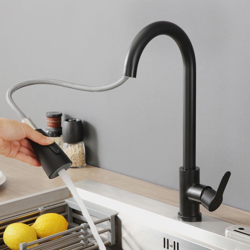 Modern Pot Filler Stainless Steel Pull Out Faucet Bar Prep Kitchen Faucet