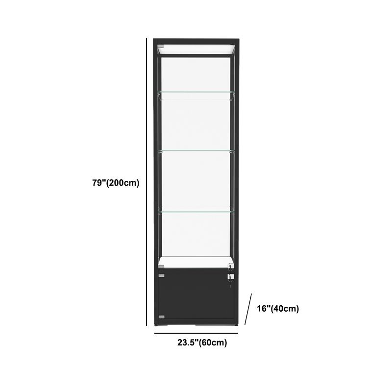 Modern Glass Curio Cabinets Black Display Stand with Adjustable Shelves