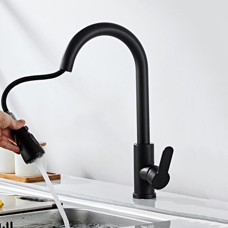 Modern 1-Handle Faucet with Pull out Sprayer 304 Stainless Steel Gooseneck Faucet