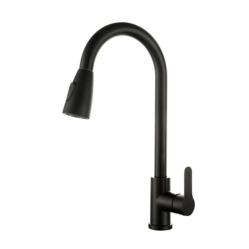 Modern Pot Filler Stainless Steel Pull Out Faucet Bar Prep Kitchen Faucet