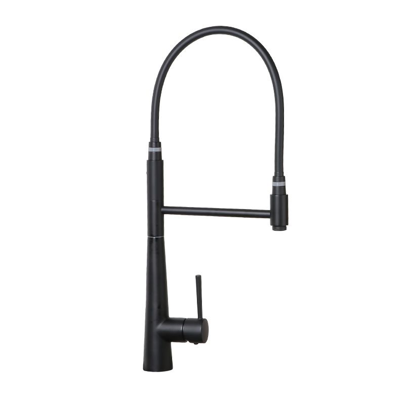 Modern Farmhouse Kitchen Faucet Pull down One Handle High Arch Water Filler