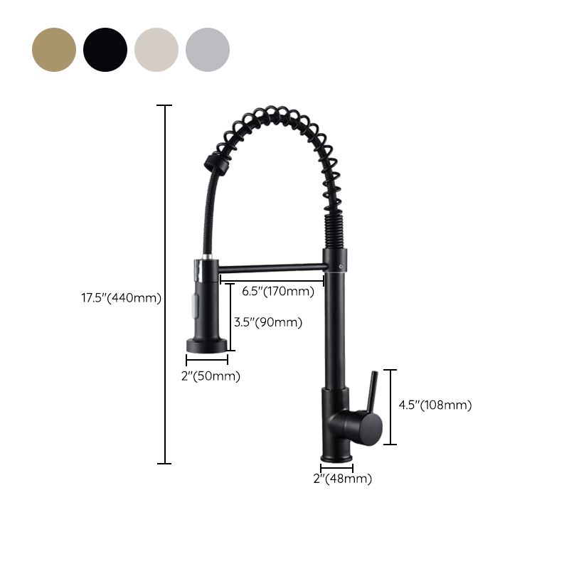 Modern Spring Spout Faucets 1-Handle with Water Dispenser Standard Kitchen Faucets