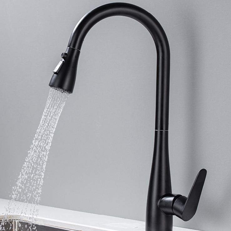 Modern Standard Kitchen Faucet 1-Handle Pull down Bar Faucet