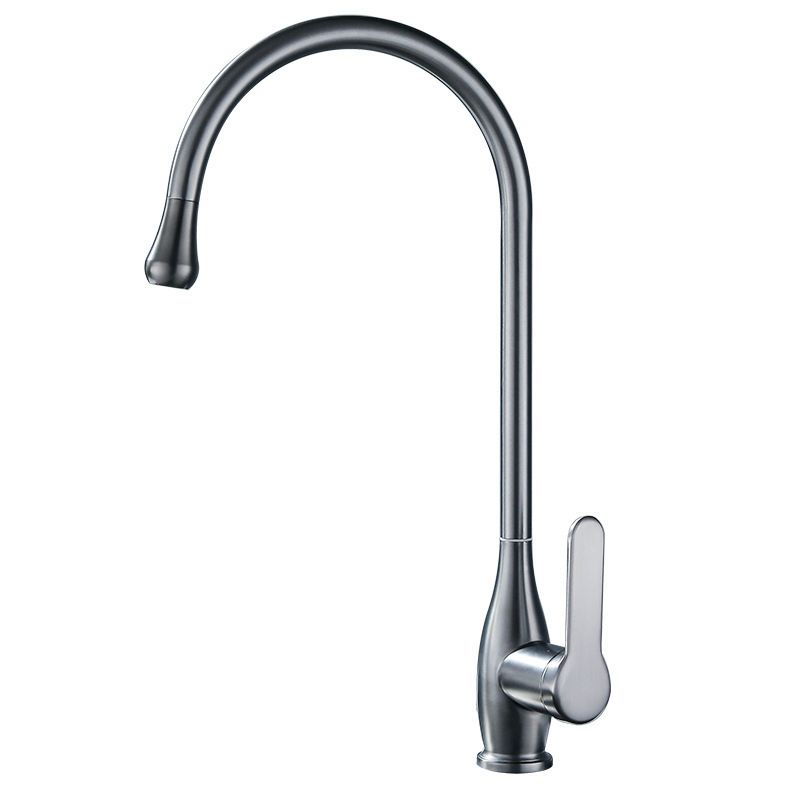 Modern 1-Handle Faucets with Water Dispenser Standard Kitchen Faucets