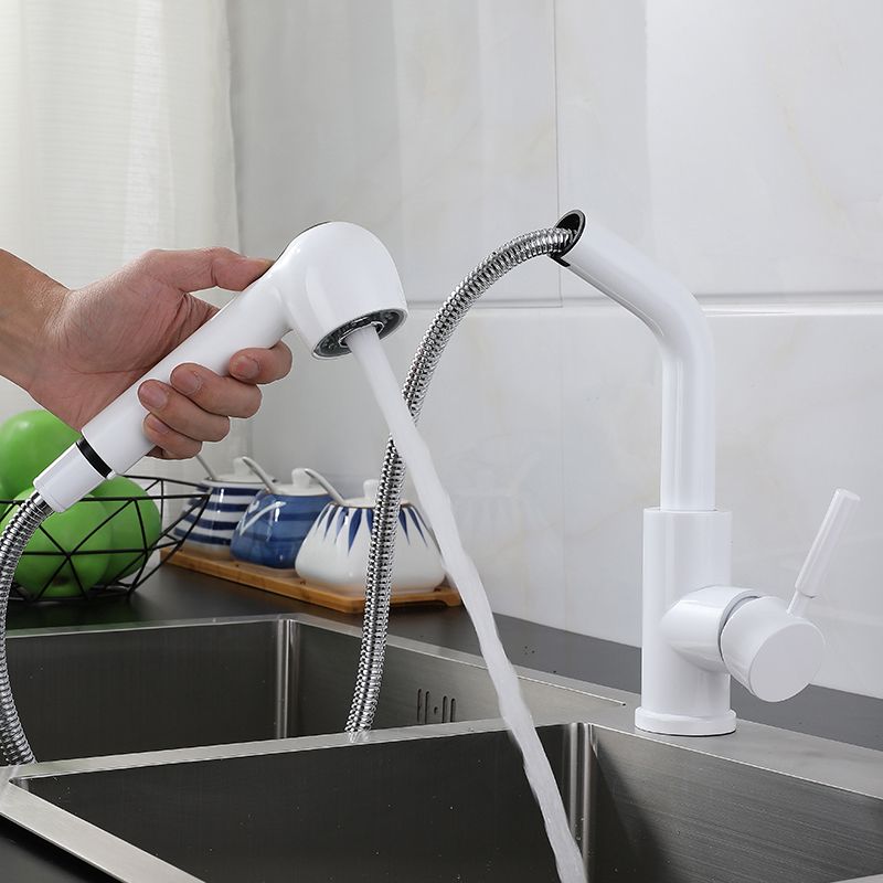 1-Handle Kitchen Faucet Pull down Sprayer with Supply Lines Bar Faucet