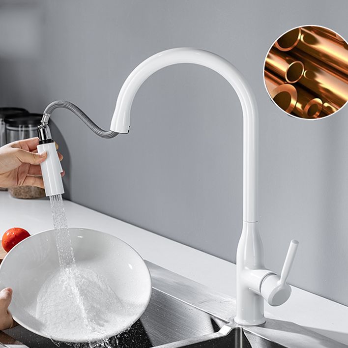 Modern Standard Kitchen Faucet Gooseneck Kitchen Faucet with One Handle